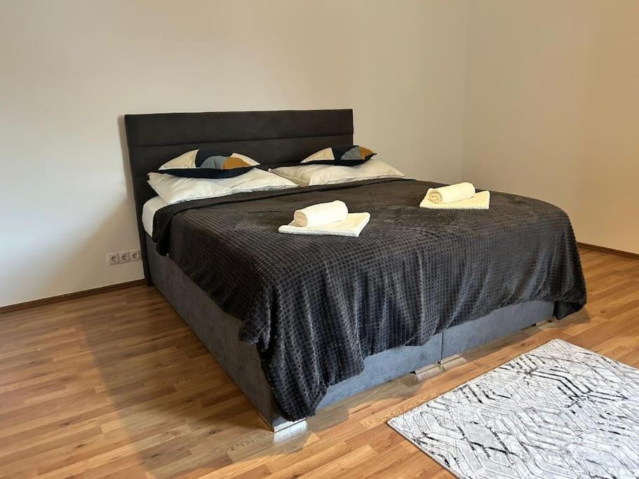 Appartement Jupiter *